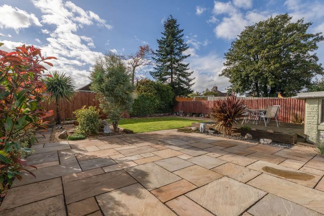 10 Stelvio Park Crescent, Newport photo 4