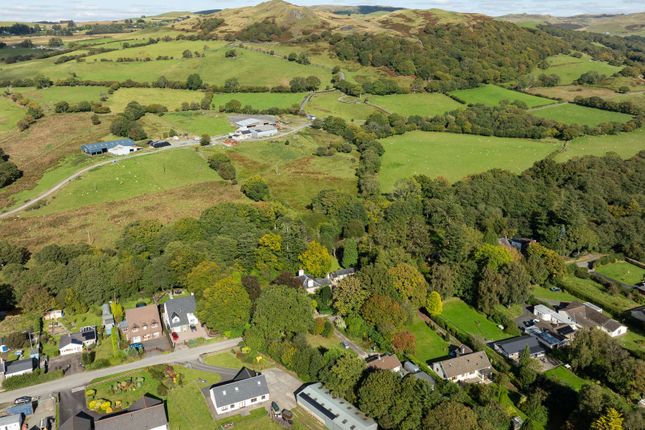 Dolteifi, Ystrad Meurig photo 2