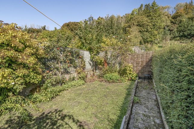 Middle Thatch, Piddletrenthide, Dorchester photo 2