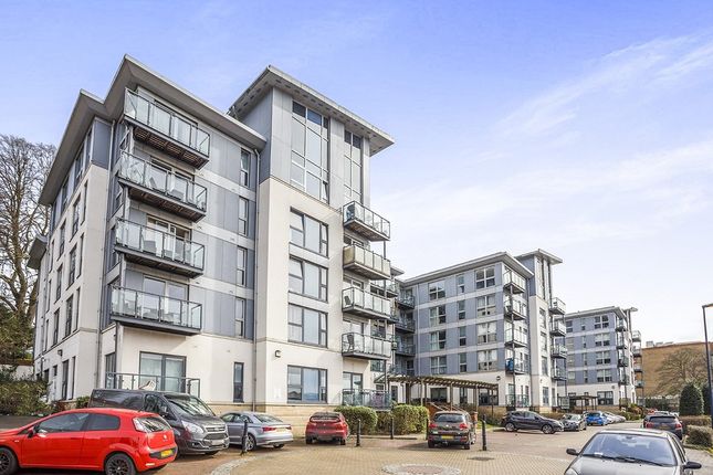 Thumbnail Flat to rent in Mckenzie Court, Maidstone, Kent