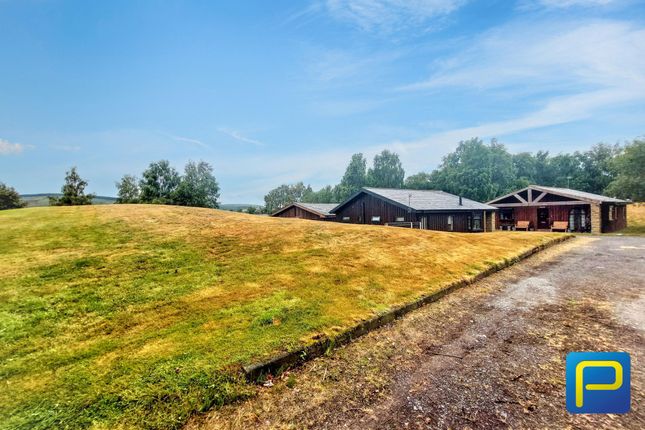 Jedburgh Lodge, Longframlington, Morpeth photo 2
