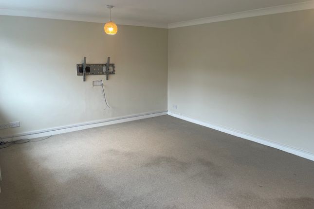 53, Warrington photo 3