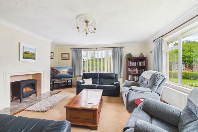 Blue Hayes, Lifton photo 3