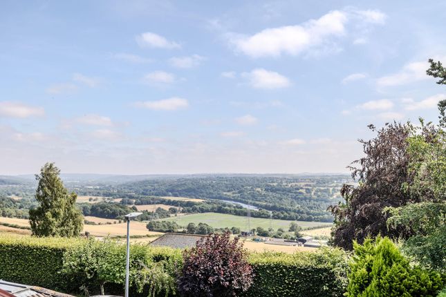 34, Heddon Banks, Newcastle Upon Tyne photo 2
