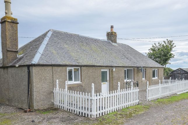 Thumbnail Cottage to rent in Hillhead Of Burghill, Brechin, Angus