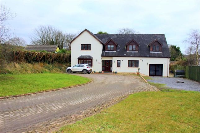 Homes For Sale In Swallow Tree Saundersfoot Sa69 Buy Property In Swallow Tree Saundersfoot Sa69 Primelocation