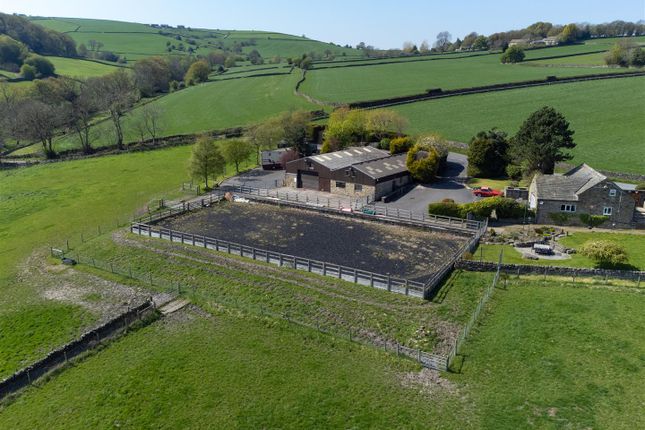 Mill Lane Farm (18 Of 21).Jpg