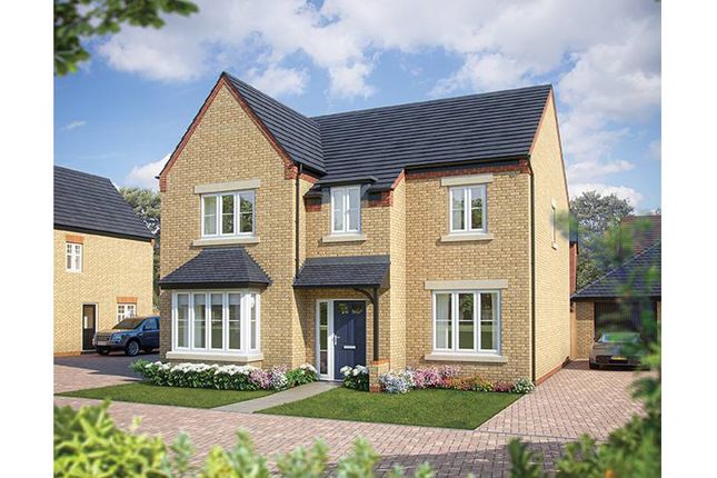 Thumbnail Detached house for sale in "Birch" at Turnberry Lane, Collingtree, Northampton