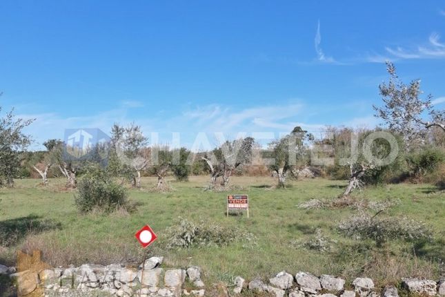 Land for sale in Chãos, Ferreira Do Zêzere, Santarém
