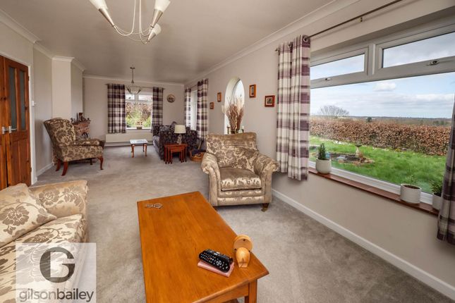High View, Buckenham Road, Norwich photo 4