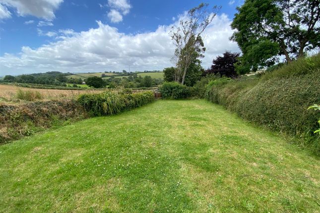 Newton Cottages, Launceston photo 5