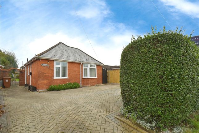 Thumbnail Detached bungalow for sale in Botley Road, Romsey, Hampshire