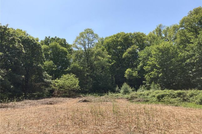 Land for sale in Hook Common, Hook, Hampshire