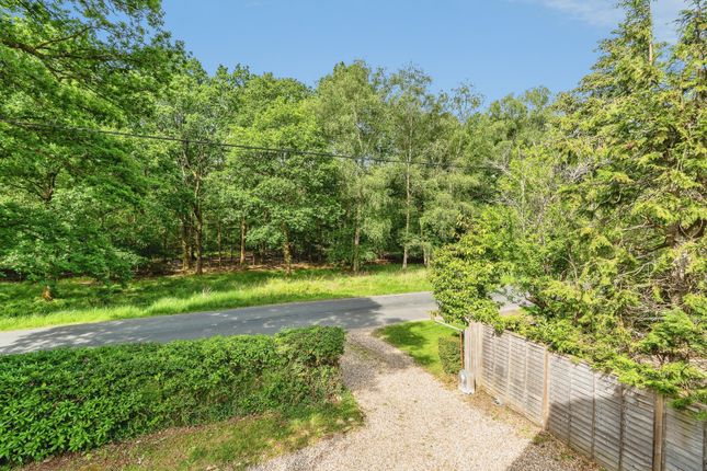 48, Woodlands Road, Southampton photo 4
