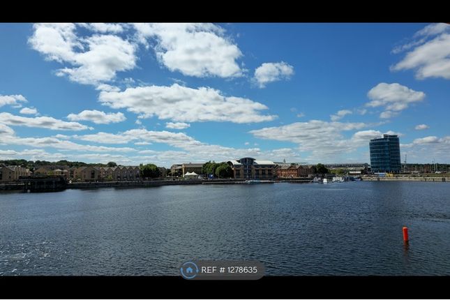 Amazing Water Views