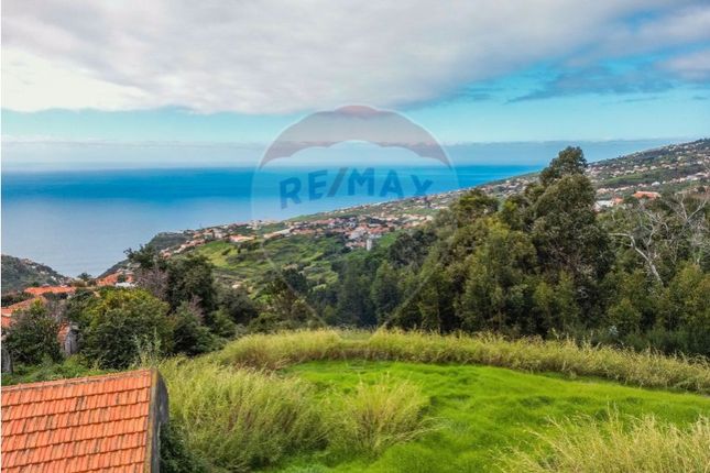 Thumbnail Property for sale in Calheta, Calheta (Madeira), Ilha Da Madeira