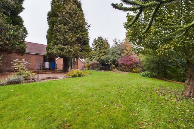 Detached bungalow for sale in Oxborough Road, Stoke Ferry, King's Lynn
