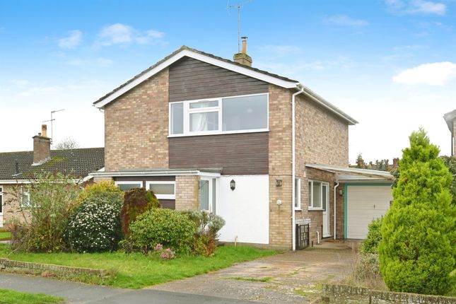 Thumbnail Detached house for sale in Walcot Rise, Diss