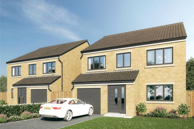 Thumbnail Detached house for sale in Lund Lane, Barnsley, South Yorkshire