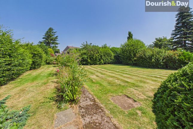 13 Bridle Road, Stafford photo 3