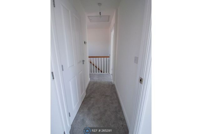 Brand New Carpets