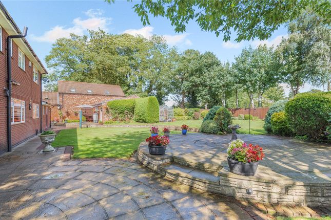 Patio / Garden