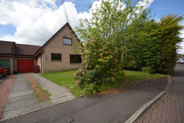 Thumbnail Detached house to rent in Campbell Drive, Larbert, Stirlingshire