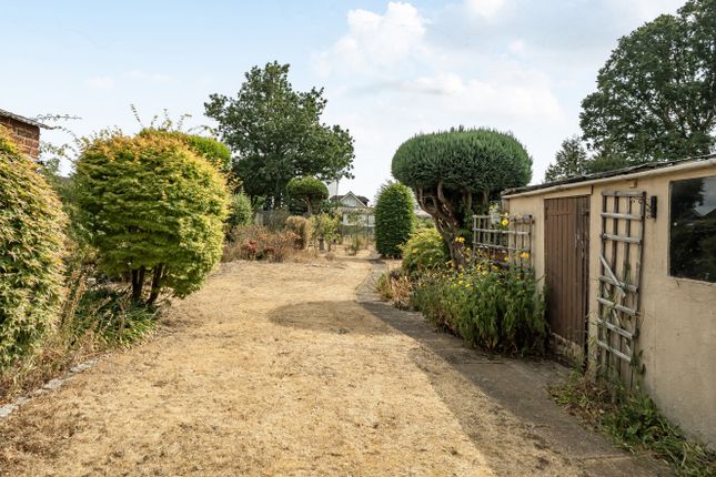 43, Beechwood Avenue, Reading photo 3