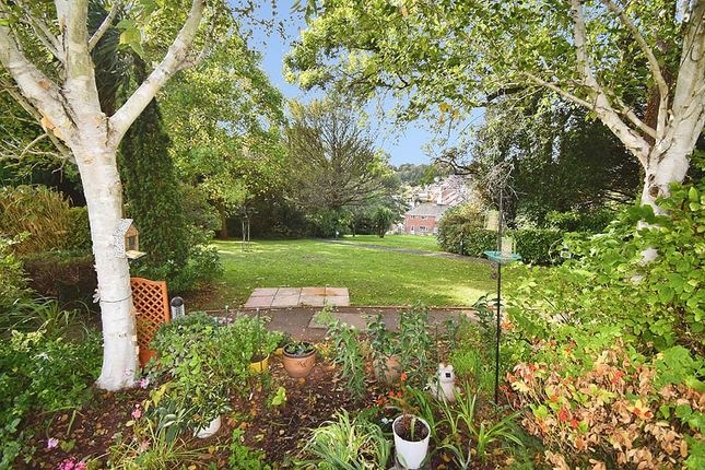 Butts Road, Exeter photo 3