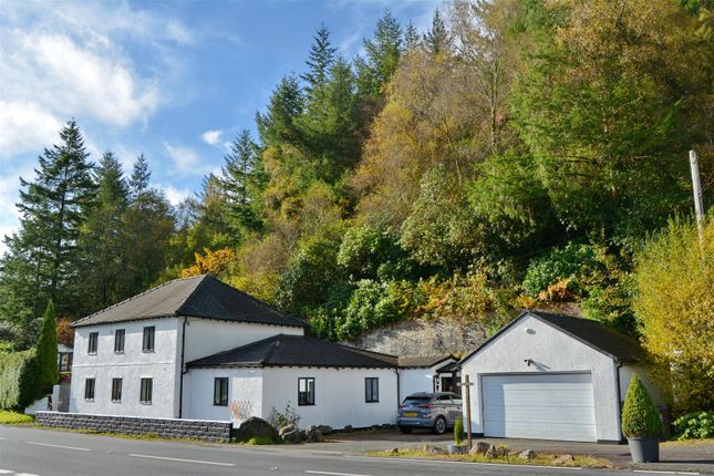 Brynteg, Machynlleth photo 2