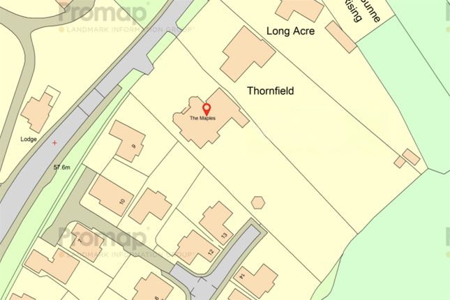 Maples Promap.Jpg
