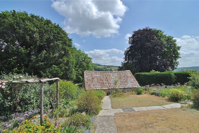Konini,, Halfway Pitch, Stroud photo 2