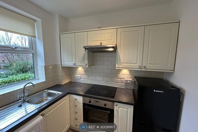 Flat   Wilbraham Road, Chorlton, Manchester photo 5