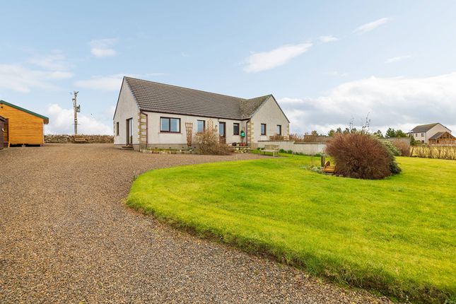 Thumbnail Detached house for sale in Greenland, Castletown, Thurso