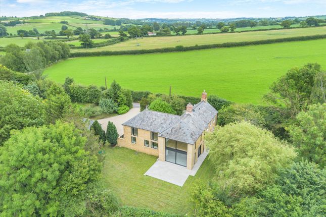 Thumbnail Detached house for sale in Seaborough, Beaminster, Dorset