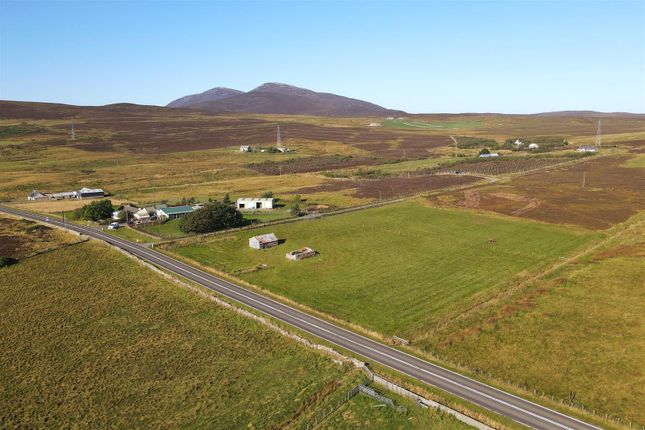 Ramscraig Croft