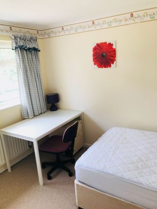 A Cozy Bedroom Featuring A Single Bed, A Desk With...