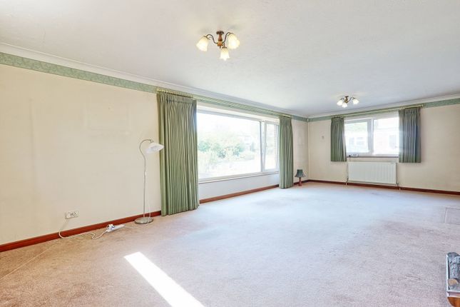 429, Baddow Road, Chelmsford photo 4