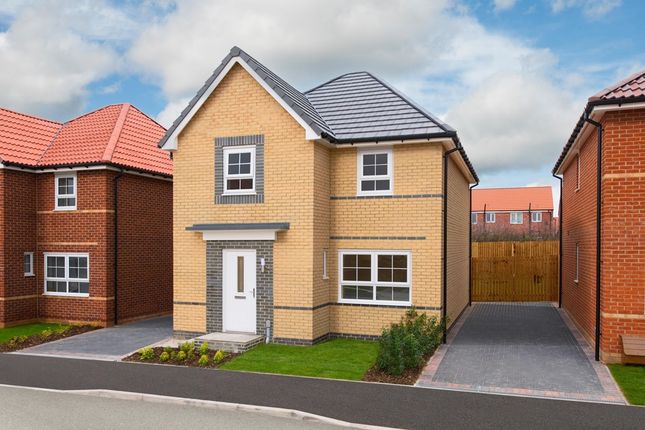 Thumbnail Detached house for sale in "Kingsley" at Edward Pease Way, Darlington