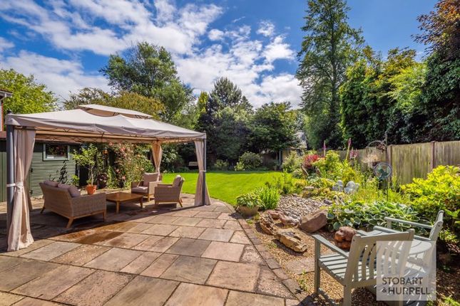Terrace Outlook