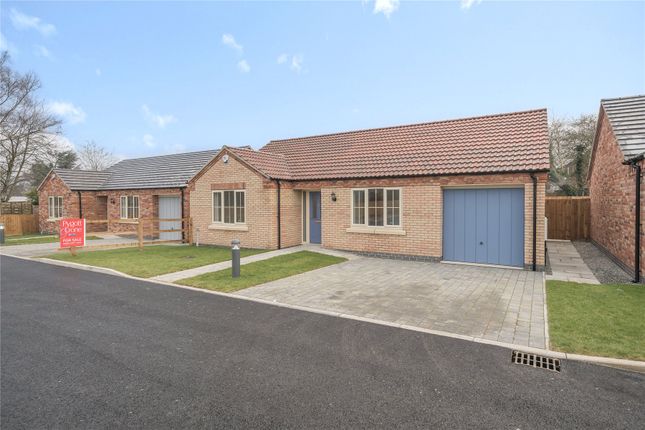 Thumbnail Bungalow for sale in Plot 8 The Orchards, Off Horseshoe Way, Market Rasen
