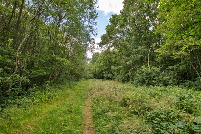 Land for sale in Lodge Hill Lane, Chattenden, Rochester