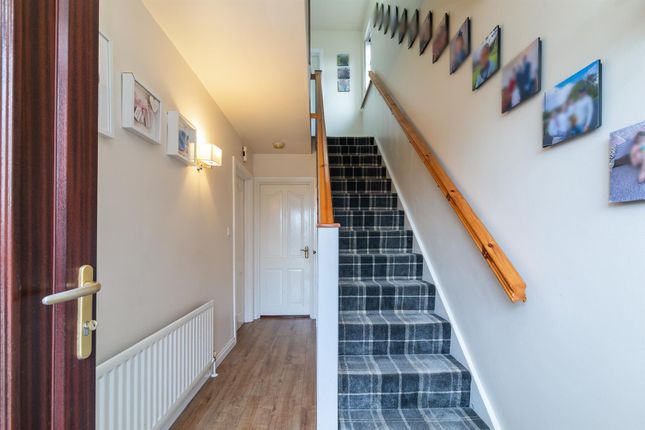20, Shrewsbury Dale, Saintfield photo 4