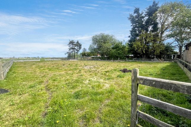 Grange Villa Farm, Ulgham, Morpeth photo 2