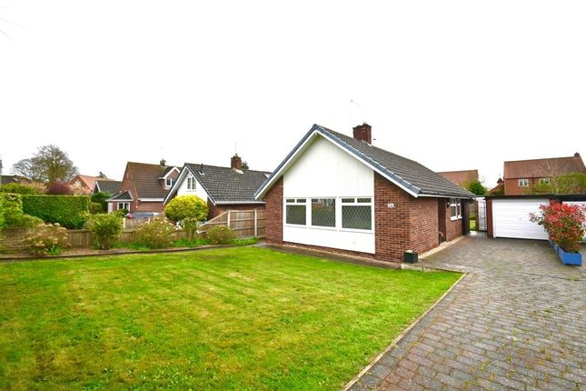 Thumbnail Detached bungalow to rent in Sycamore Crescent, Bawtry, Doncaster