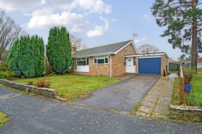 Bungalow for sale in Eveley Close, Whitehill, Hampshire