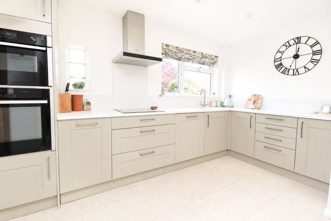 25, Hillie Bunnies, Colchester photo 5