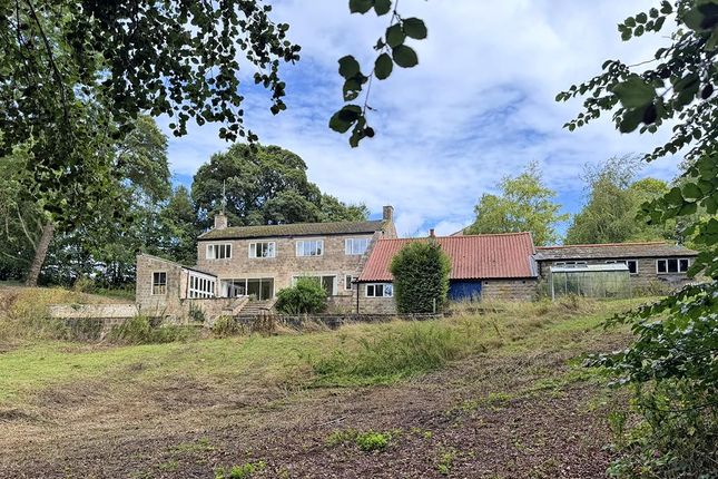 Rock Hall, Nidd, Harrogate photo 3