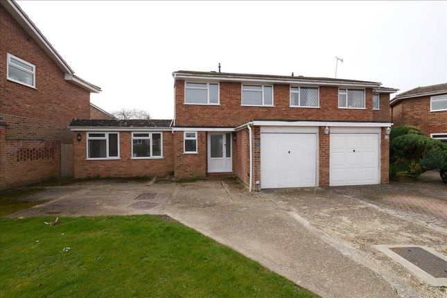 Thumbnail Semi-detached house to rent in Crosby Close, Worthing