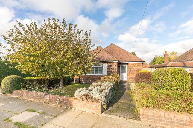 Thumbnail Bungalow for sale in Green Ridge, Brighton, Sussex